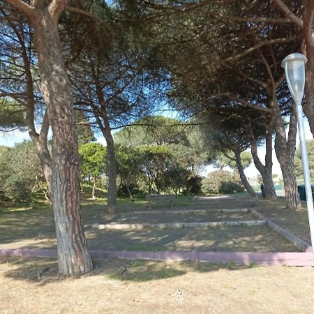 Les Locations De Lara V - T2 Spacieux Calme - Pres Plage, Ile Des Loisirs, Port - Parking Agde Exterior foto